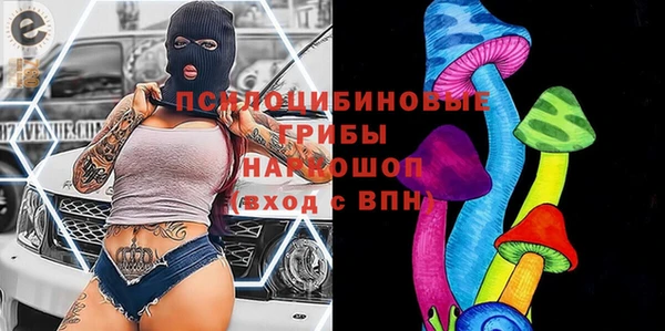 гашик Алексеевка