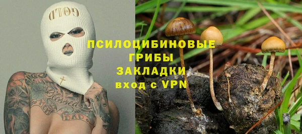 Альфа ПВП Алзамай