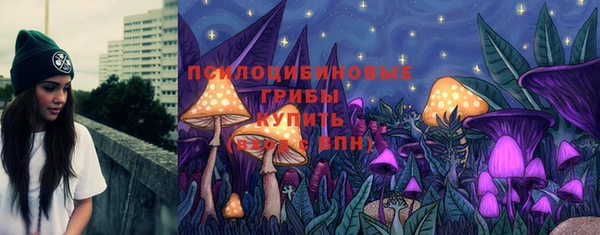экстази Алексин