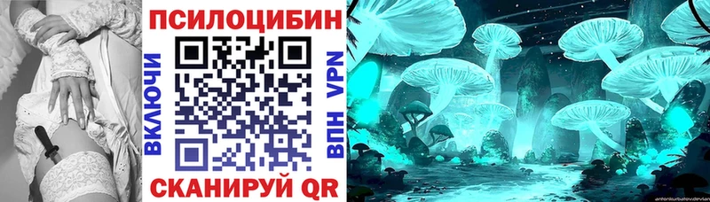 Галлюциногенные грибы Psilocybe  гидра ССЫЛКА  мориарти телеграм  Камышин 