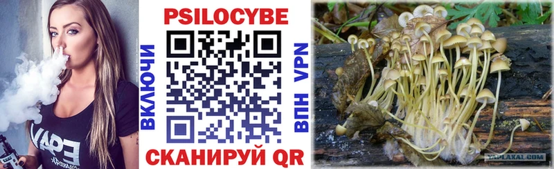 Псилоцибиновые грибы мицелий Камышин